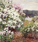 Unknown Metcalf Mountain Laurel painting